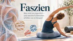 Faszien - Was sind sie eigentlich und welche Funktionen erfüllen Sie im Körper?
