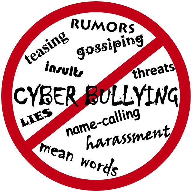 Cyberbullying - Nein Danke! Quelle: Pixabay