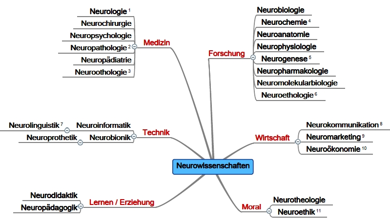 Mindmap: Teilgebiete der Neurowissenschaften ©Martina Rüter 